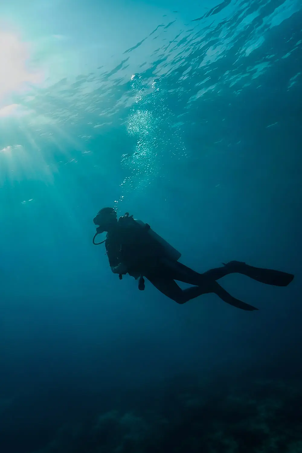 Diving At Rote Island Indonesia