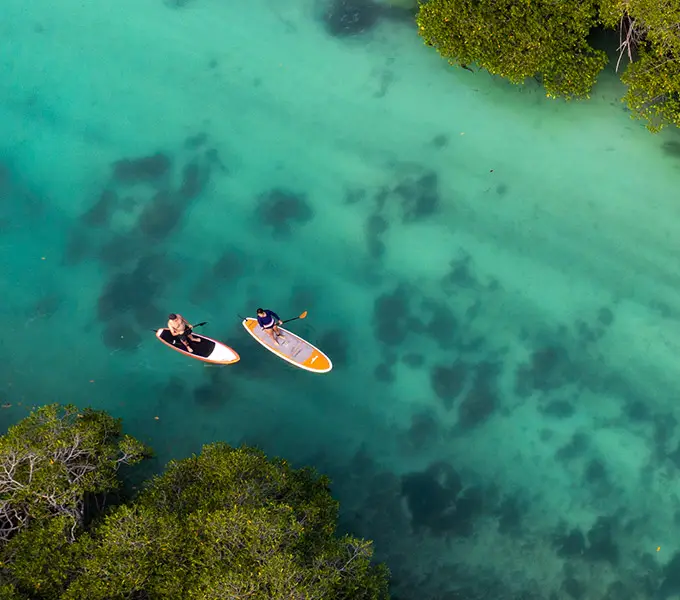 Nihi Rote Mangrove Paddleboard Adventure Thumbnail