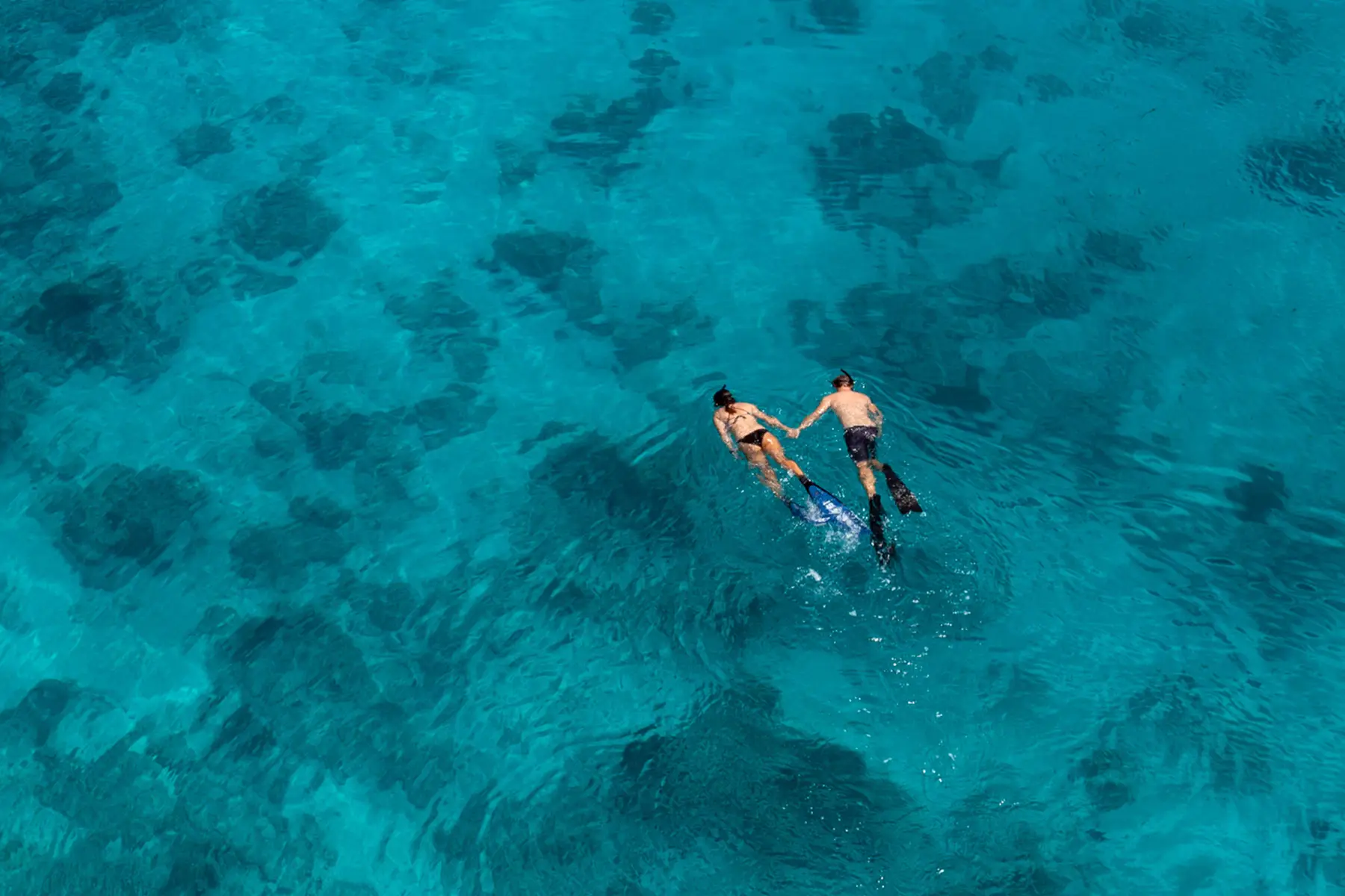 Snorkeling Rote Island