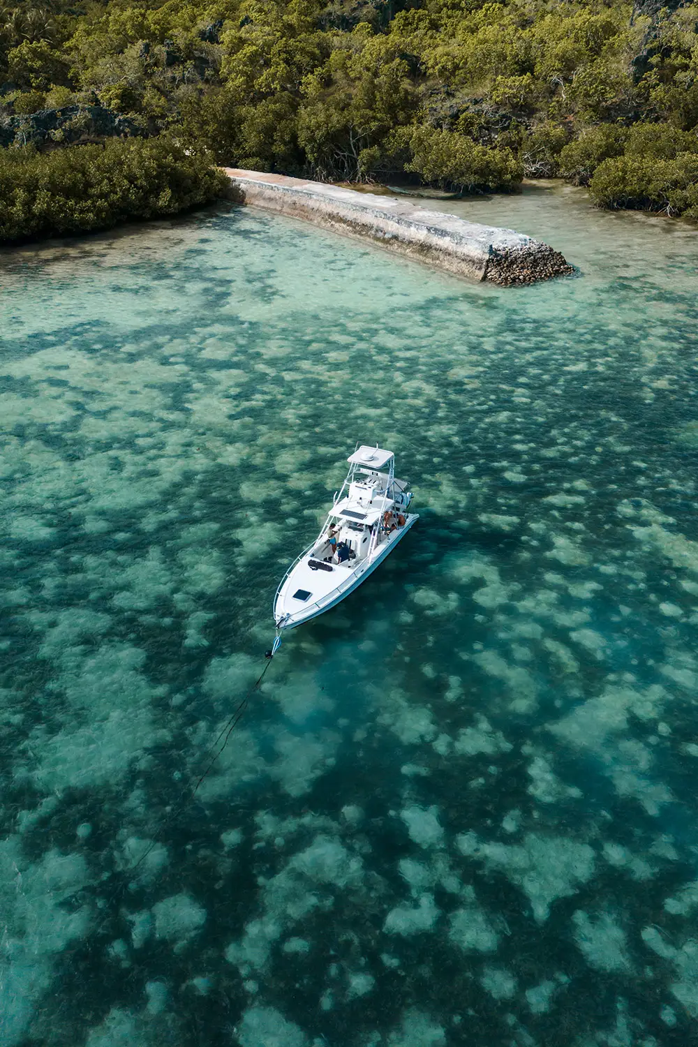 Nihi Rote Boat Charter 3