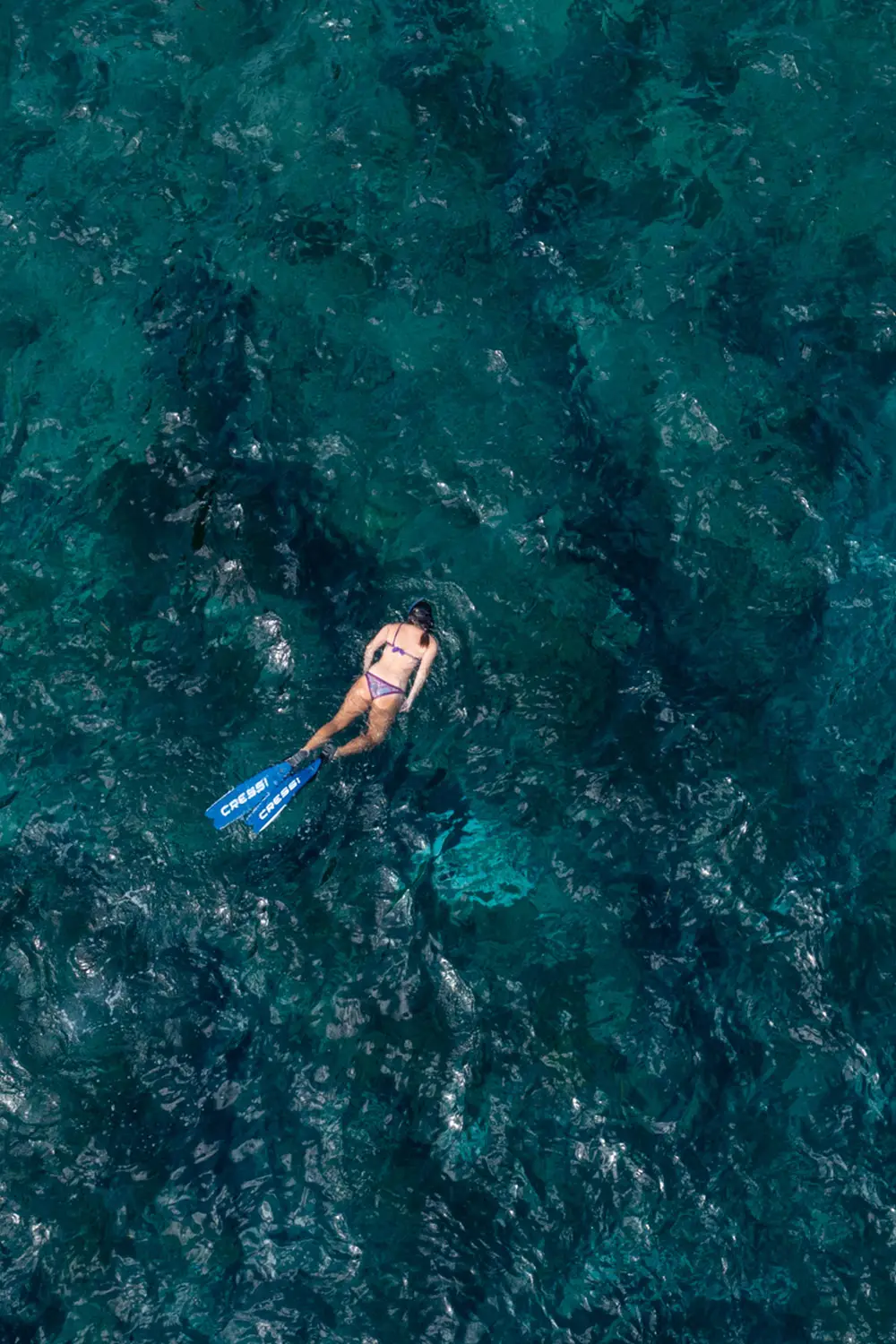 Snorkeling Rote Island 4