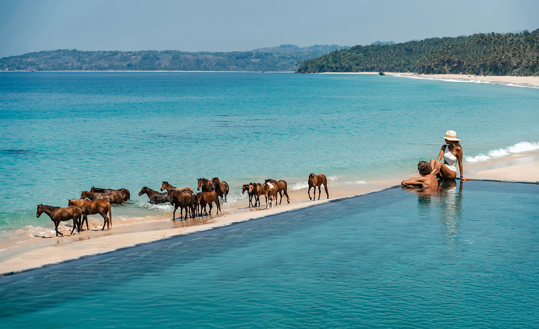Couple relaxing in the beachfront infinity pool at Nio Beach Club, NIHI Sumba, as a herd of Sumbanese horses strolls along the pristine shore under clear blue skies.