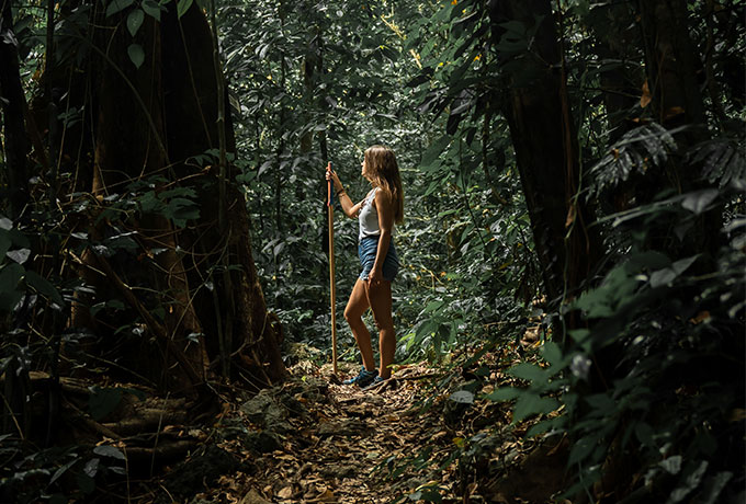 A female trekker explores the dense tropical forest on the Blue Waterfall Trek in Manupeu Tanah Daru National Park, surrounded by towering trees and lush jungle foliage.