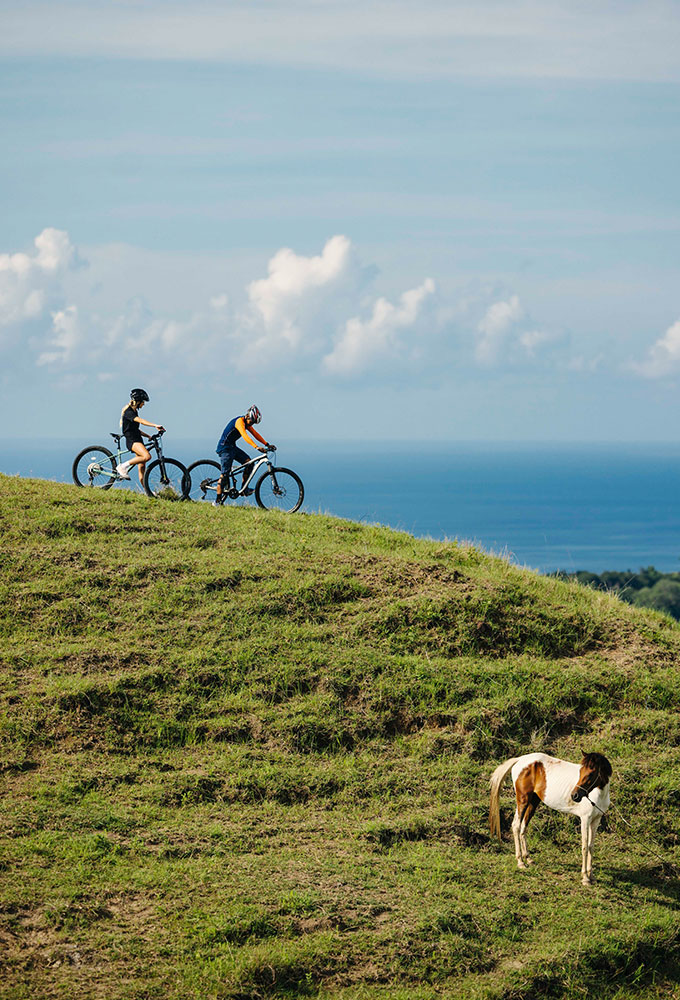 Guests cycling along a scenic grassy ridge overlooking the ocean outside NIHI Sumba, with a Sumbanese horse grazing peacefully nearby.