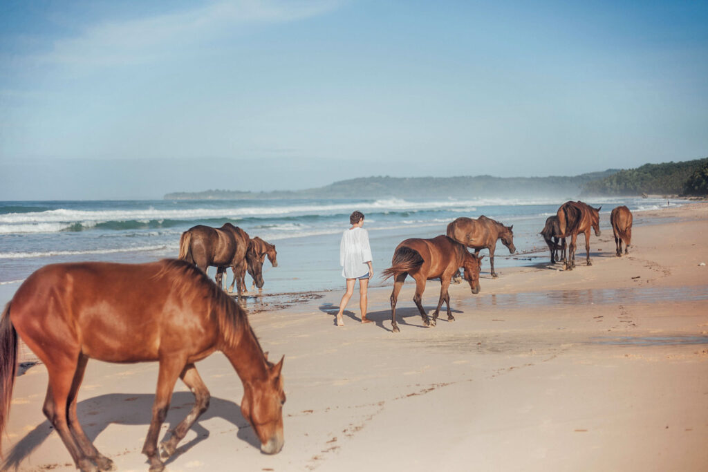 Guest walking alongside Sumba horses during their natural beach stroll at NIHI Sumba, where guests are welcome to interact with the horses in an organic and unstructured way.