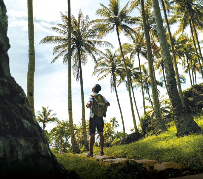 NIHI Sumba guide gazing up at towering palm trees upon arriving at Nihioka Spa after completing a scenic trek.