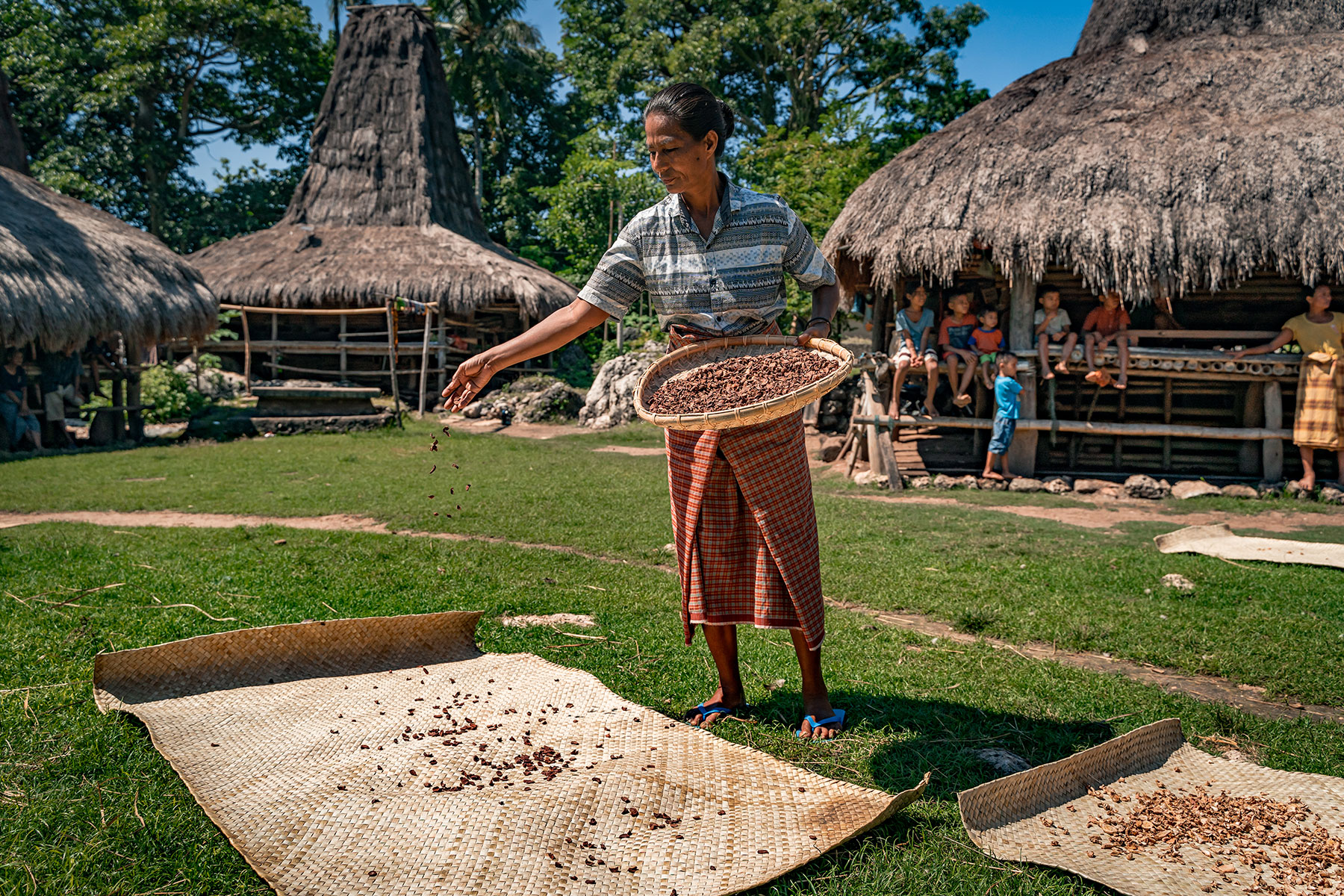 Sumbanese woman sun-drying harvested botanicals using traditional techniques in a village setting, part of the ancestral process behind the Sumba 7 Botanical Elixir.