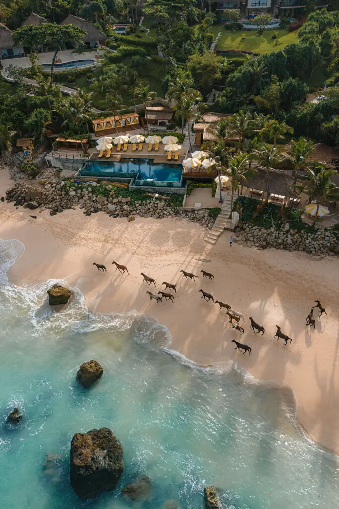 Horses Running On Nihi Sumba Beach