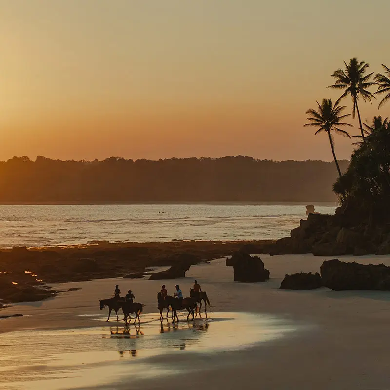 Nihi Sumba Art Of Escape Freedom