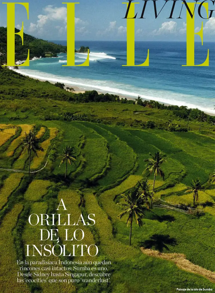 ELLE Spain April 2020 Cover