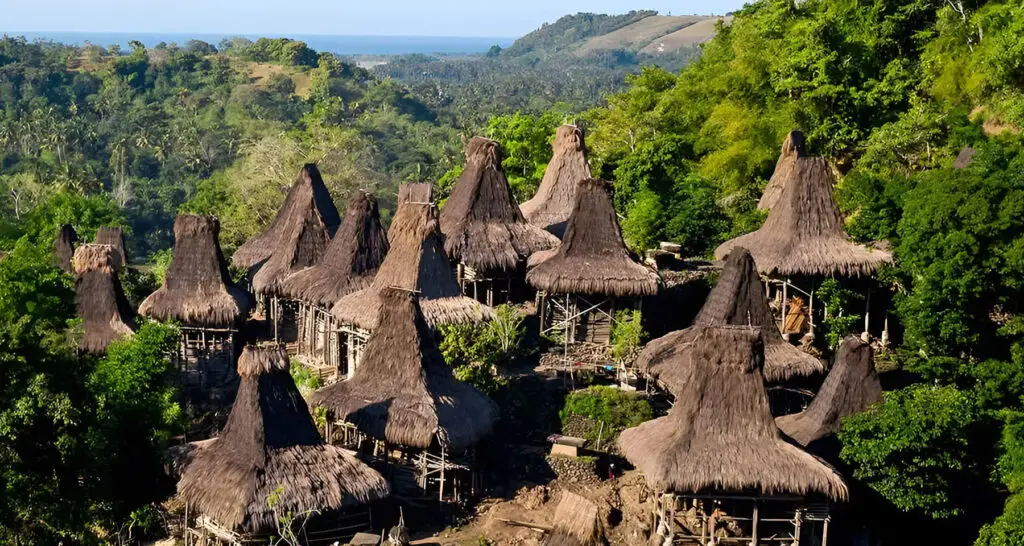Uma Mbatangu, traditional Sumbanese houses