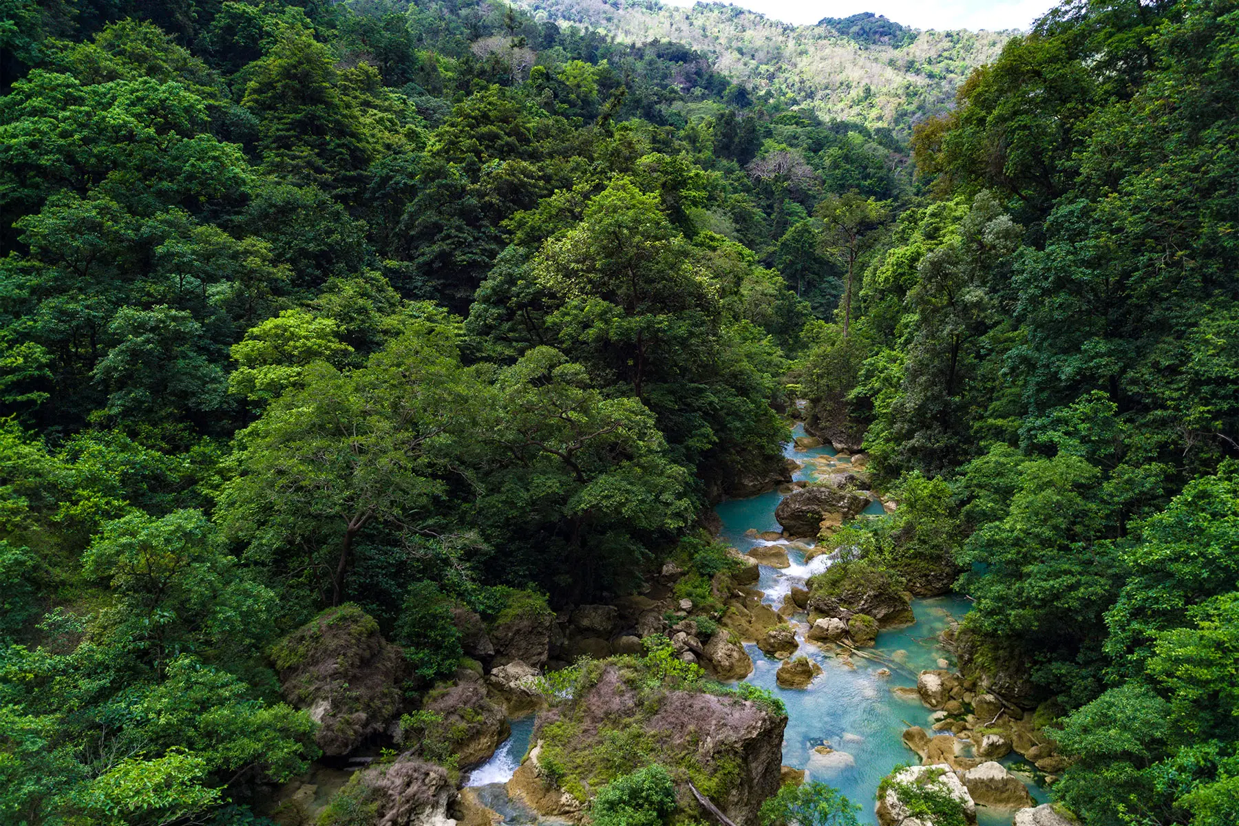 Aerial view of lush green jungle and turquoise river flowing through the tropical wilderness of Sumba Island, Indonesia.