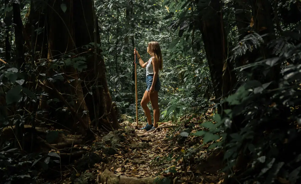 A female trekker explores the dense tropical forest on the Blue Waterfall Trek in Manupeu Tanah Daru National Park, surrounded by towering trees and lush jungle foliage.