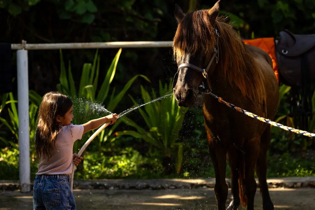 Kids Pony Club, NIHI Sumba