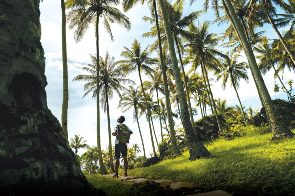 NIHI Sumba guide gazing up at towering palm trees upon arriving at Nihioka Spa after completing a scenic trek.