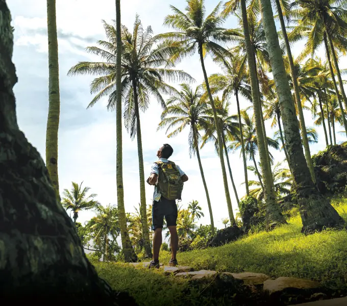 NIHI Sumba guide gazing up at towering palm trees upon arriving at Nihioka Spa after completing a scenic trek.