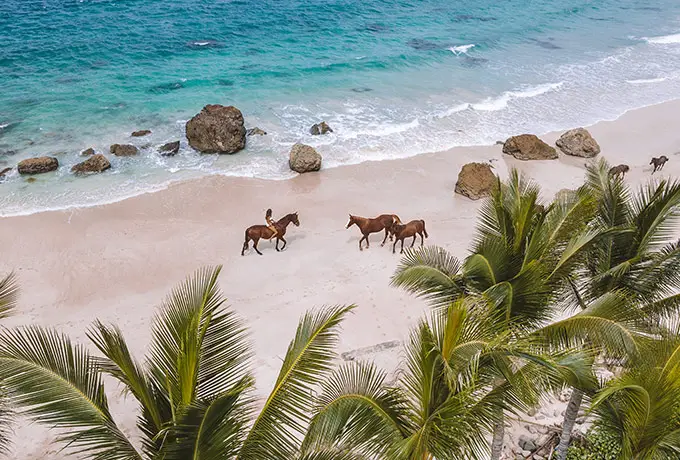 Nihiwatu Beach Horse Ride