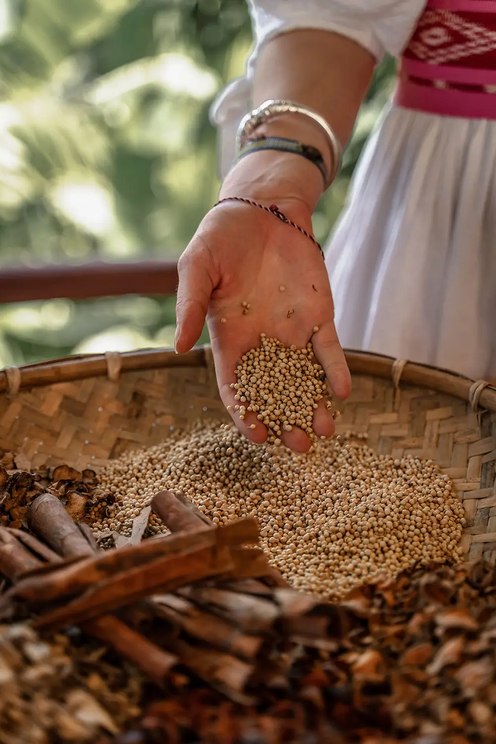 Hand holding freshly harvested coriander seeds above a traditional woven basket, alongside cinnamon bark and dried botanicals used in the Sumba 7 Botanical Elixir.