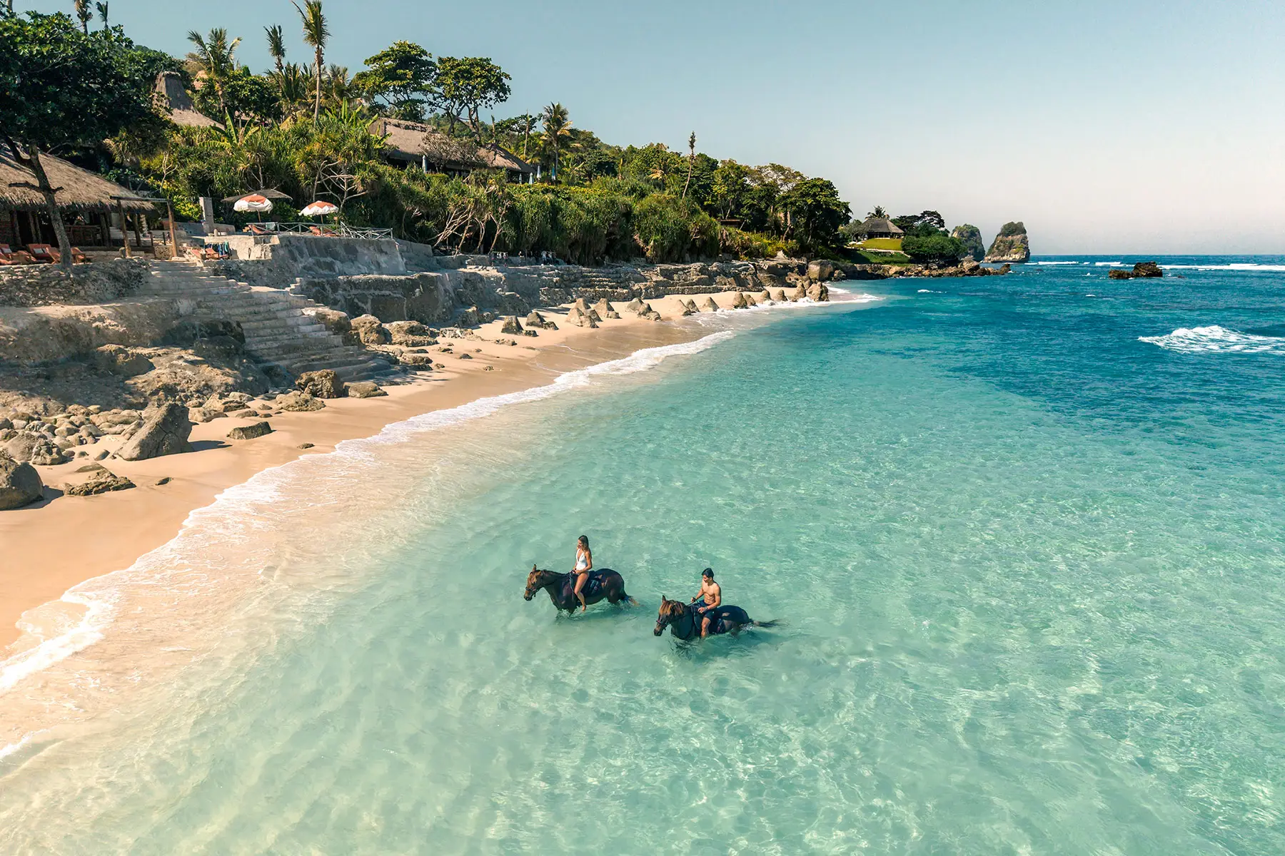Swimming With Horses In Sumba 2