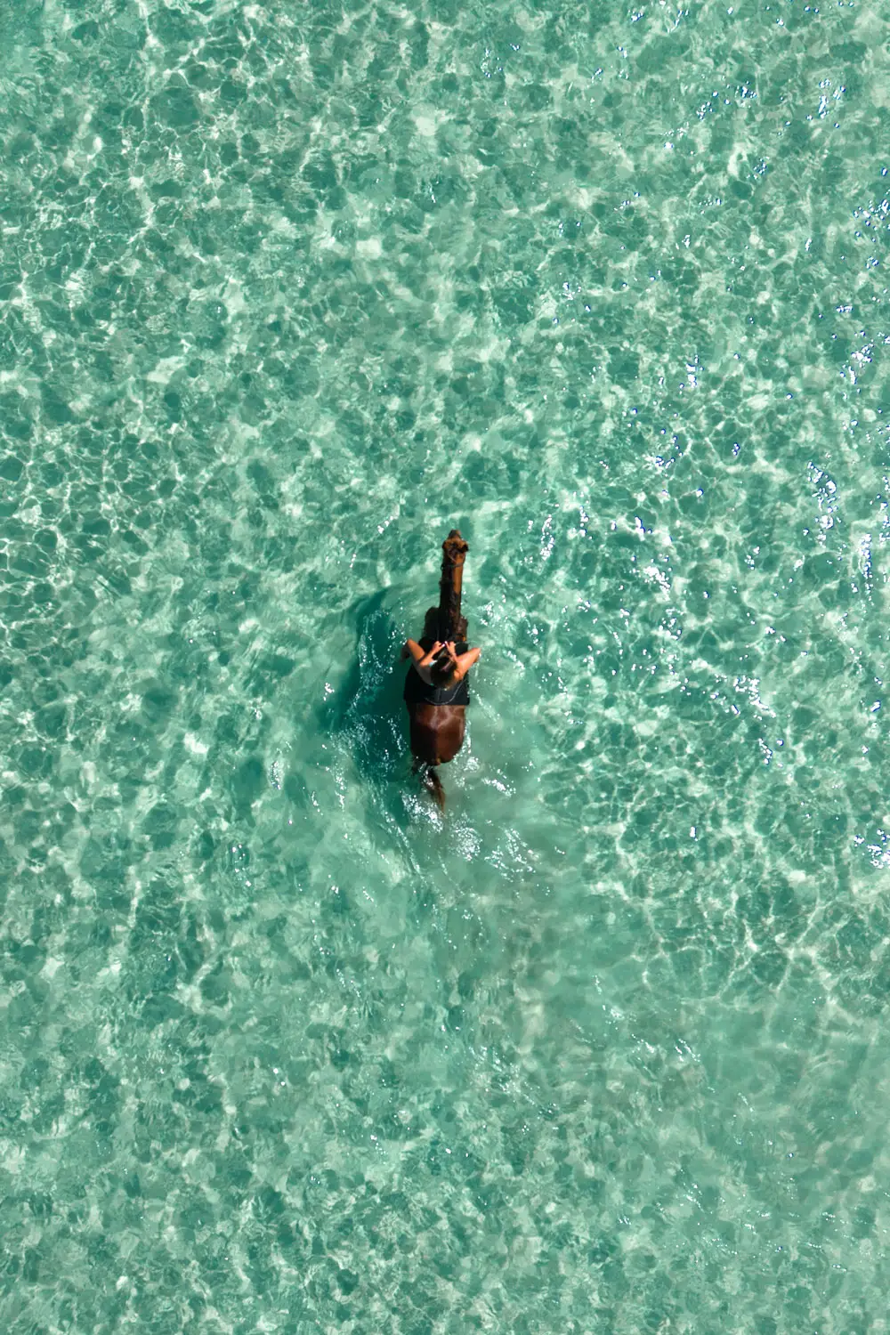 Swimming With Horses In Sumba 3
