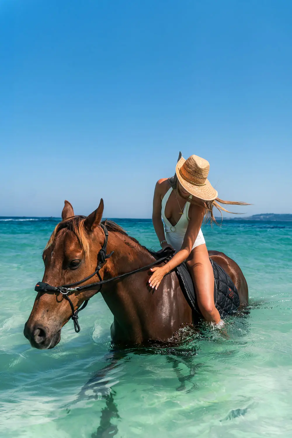 Swimming With Horses In Sumba