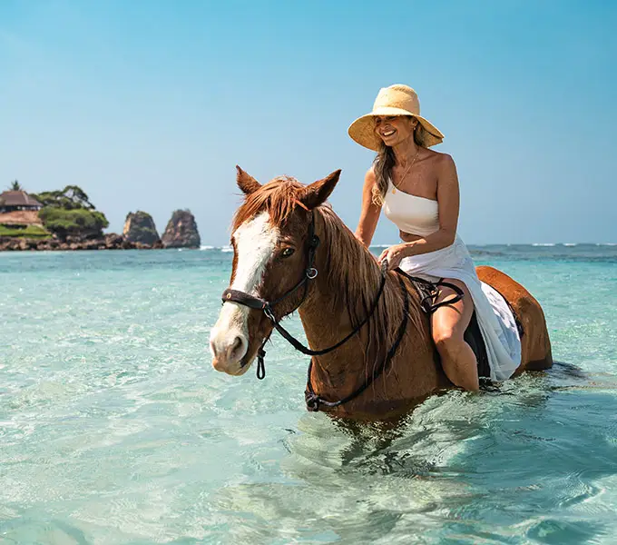 Swimming With Horses Thumb