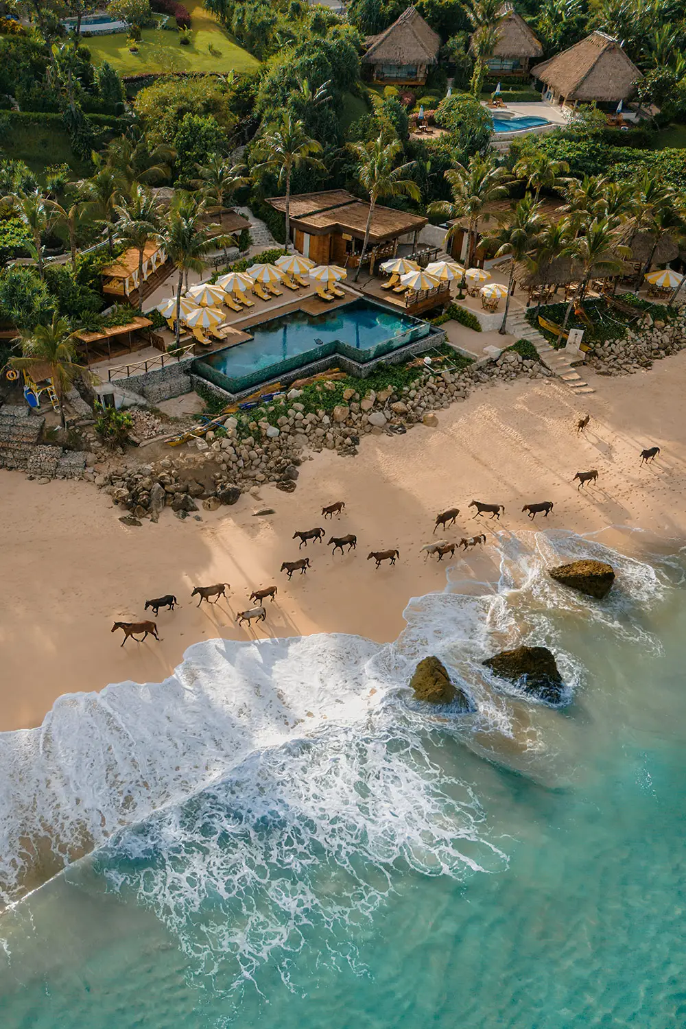 Horses Running At Nihi Sumba Beach