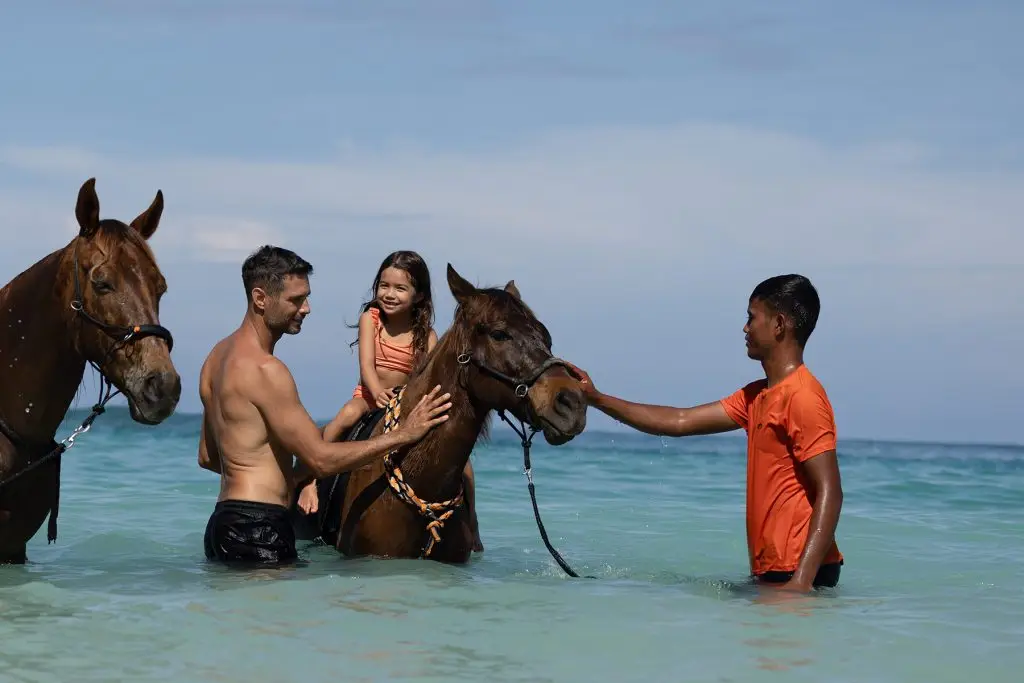 Swimming With Ponies At NIHI Sumba