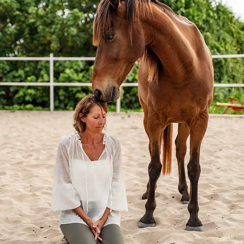 Carol The Horse Whisperer
