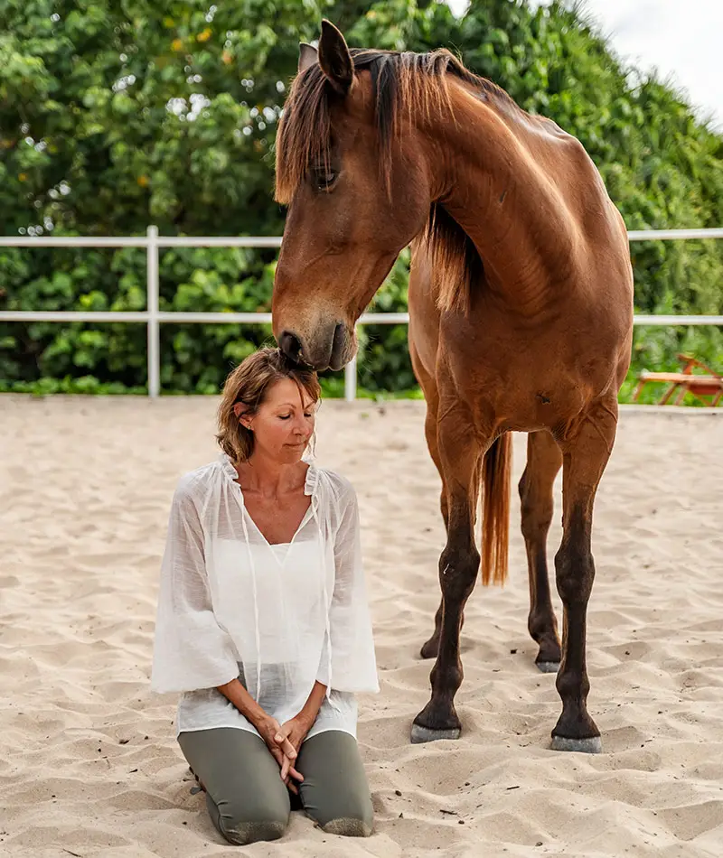 Carol The Horse Whisperer