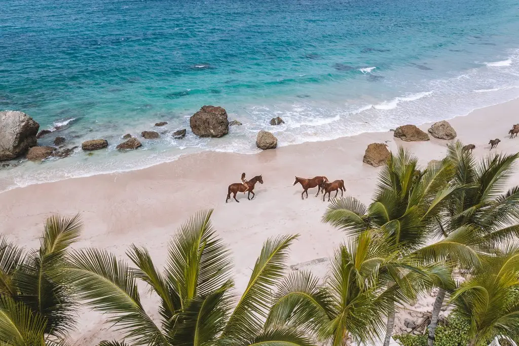 Sunset Horse Riding Nihi Sumba