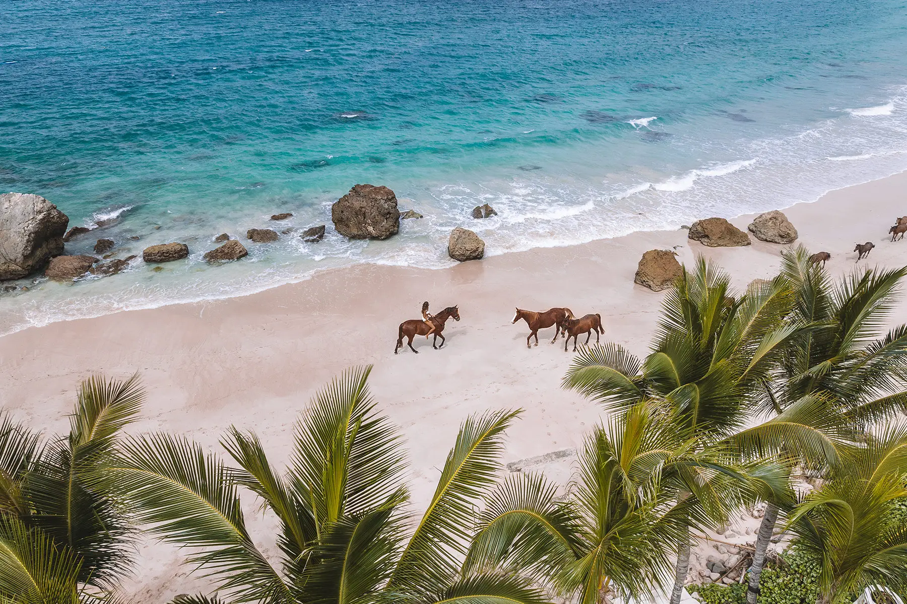 Sunset Horse Riding Nihi Sumba
