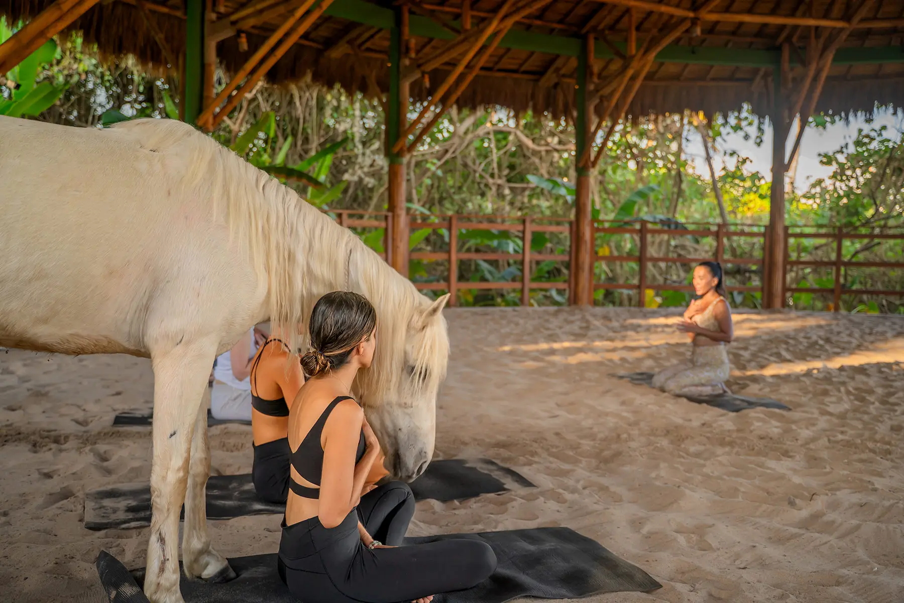 Candice Webster Nihi Sumba 9
