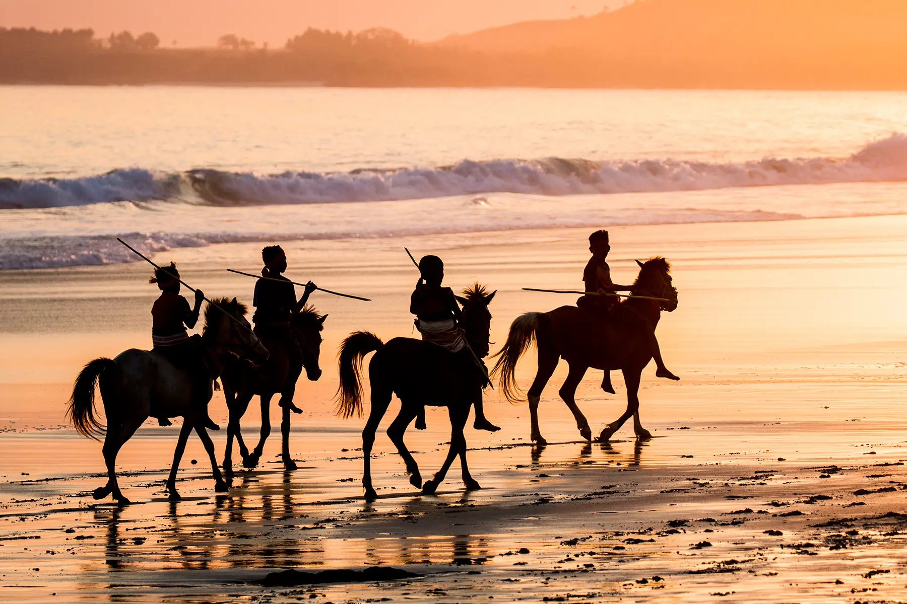 Sumba Horse Project 8