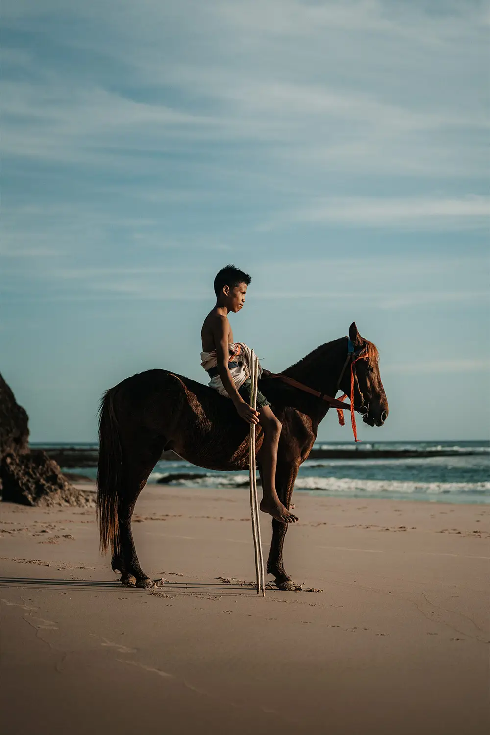 Sumba Horse Project 9