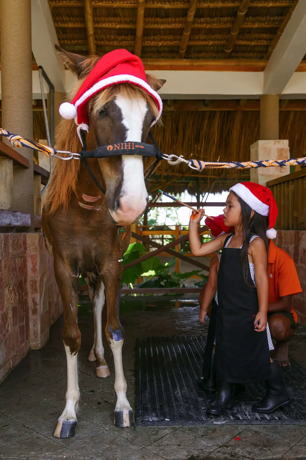 Christmas Pony Painting Nihi Sumba