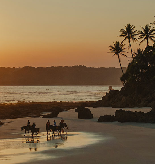 Sunset Horse Riding