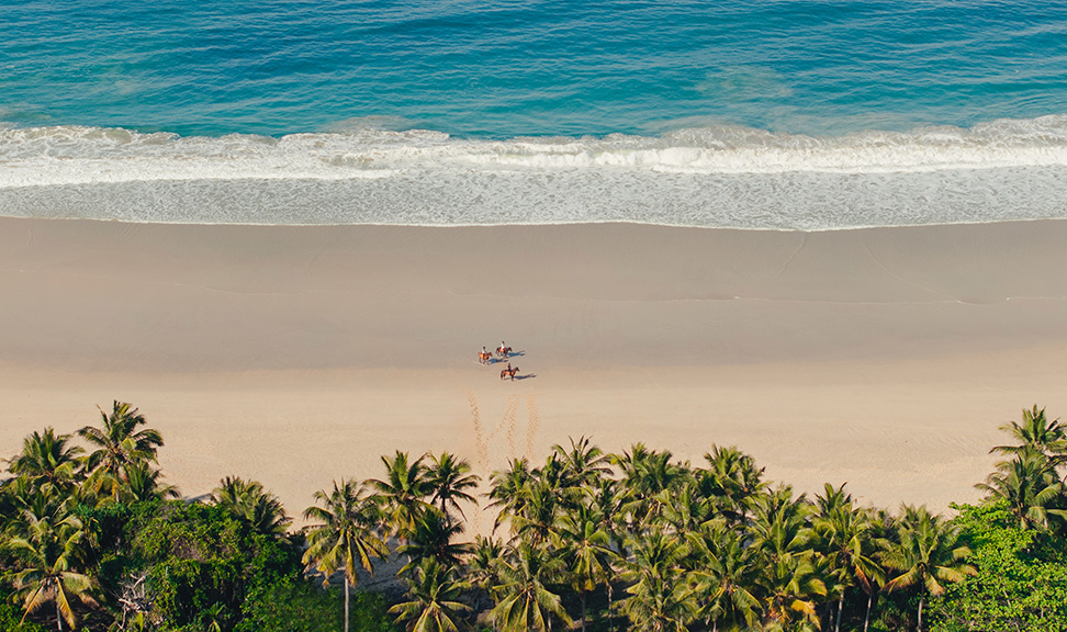 Bush to Beach