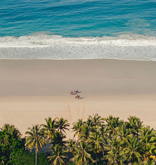 Bush to Beach