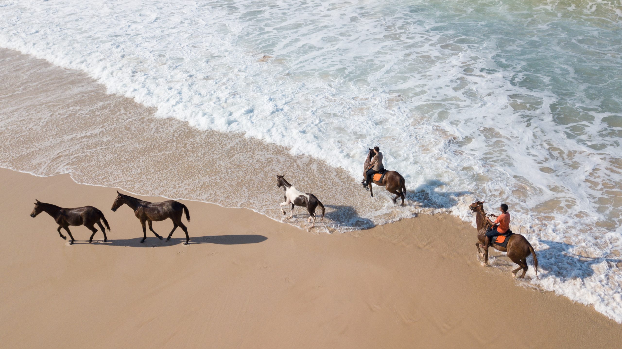hotel-with-horses-sumba-island