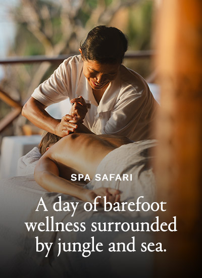  Spa Safari - A day of barefoot wellness surrounded by jungle and sea.