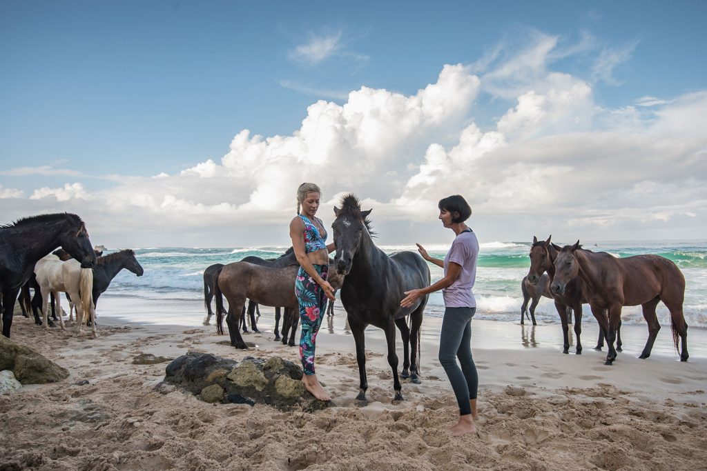 Sumba hotel with horse yoga on the beach