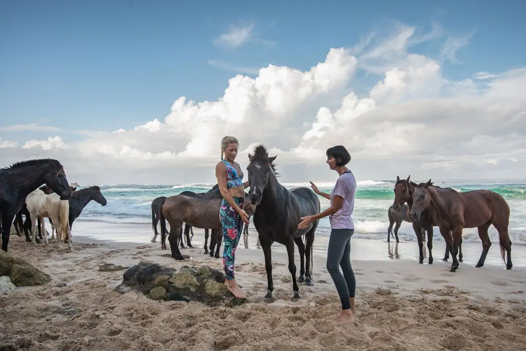 Sumba hotel with horse yoga on the beach